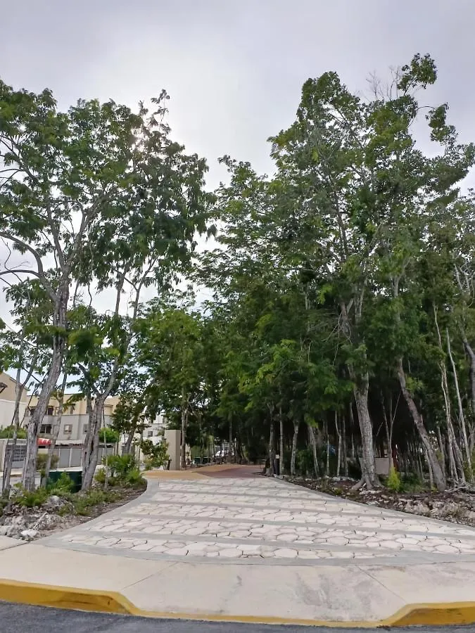 Charming Apartment Hoestel Reiden! Playa del Carmen 0*,  Messico