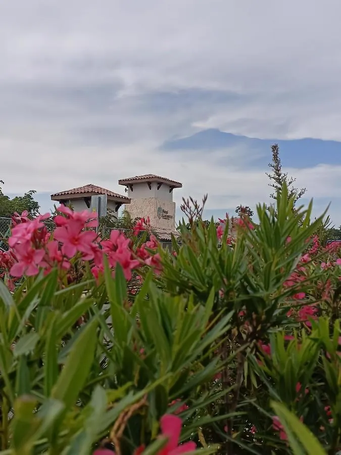 Charming Apartment Hoestel Reiden! Playa del Carmen